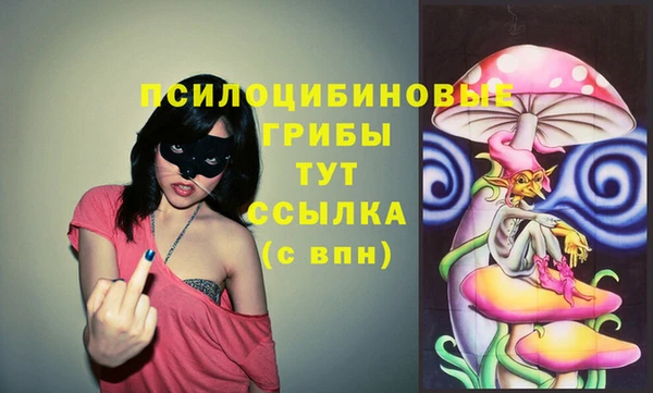 не бодяженный Арсеньев