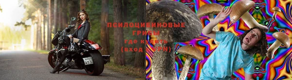 не бодяженный Арсеньев