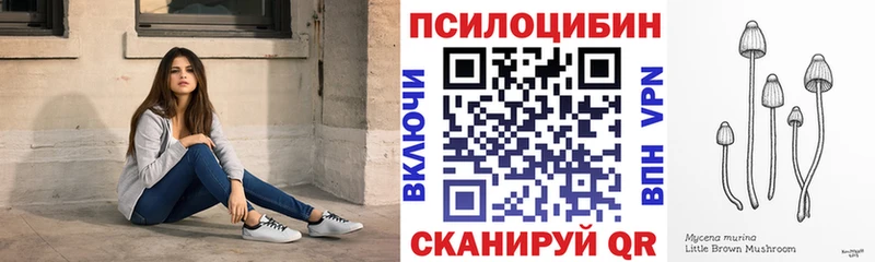 Галлюциногенные грибы Psilocybine cubensis Бронницы