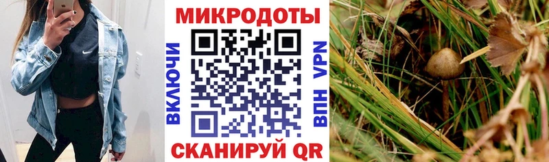 Галлюциногенные грибы мицелий Бронницы